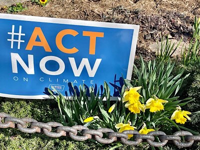 Daffodils beginning to blossom and yard sign says #ACT NOW ON CLIMATE CHANGE 