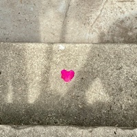 Heart-shaped rose petal at center of concrete steps 