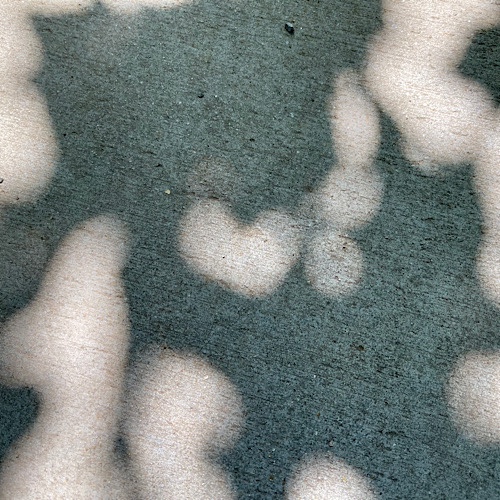Photo of patterns of shadow and light on the sidewalk—the center patch of light heart-shaped 
