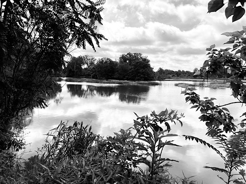 Black and white photo of trees and clouds reflected in the river 