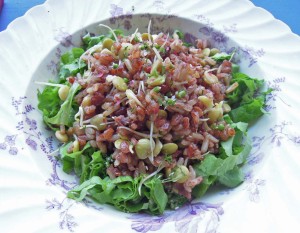 sprouted kitcheree salad