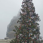 Rainy Christmas Eve Walkabout