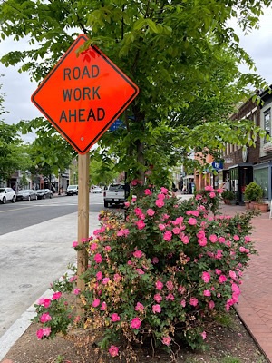 Construction sign next to a profusion of pink roses, reads “road work ahead.”