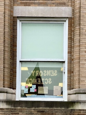 Text (backwards) in school room window, reads “sensory science.”