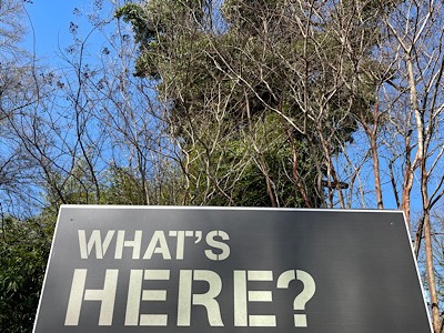 Sign in front of trees reads, “what’s here?”