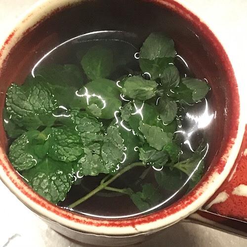 Photo of fresh mint tea