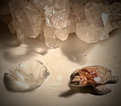 Photo of a crystal conch shell and a turtle carved from a fire opal