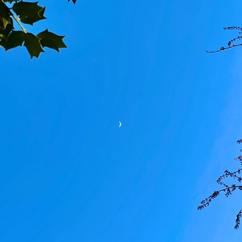 Photo of blue sky with crescent moon at center 