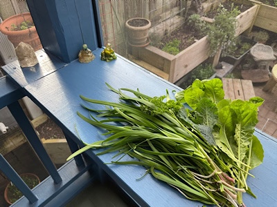 Image of freshly picked garlic chives parsley and arugula from the garden 