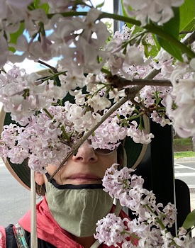 Selfie with hat mask (but not over nose) smelling lilacs