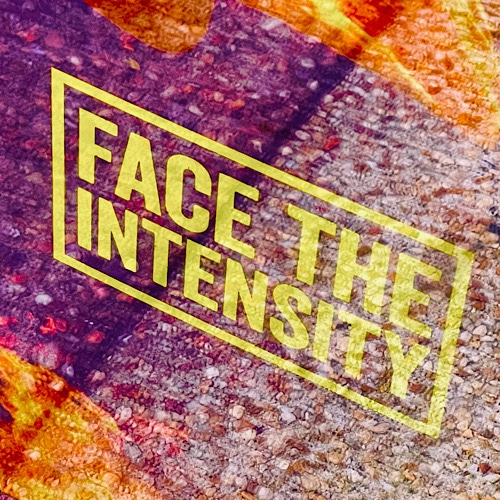Photo of sign in window that reads “face the intensity”